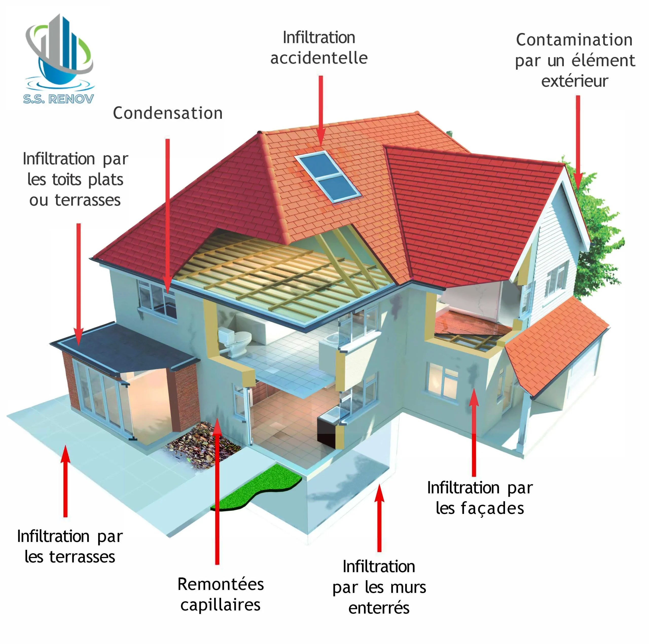 Schéma illustré des causes d'humidité — remontées capillaires, infiltrations, condensation