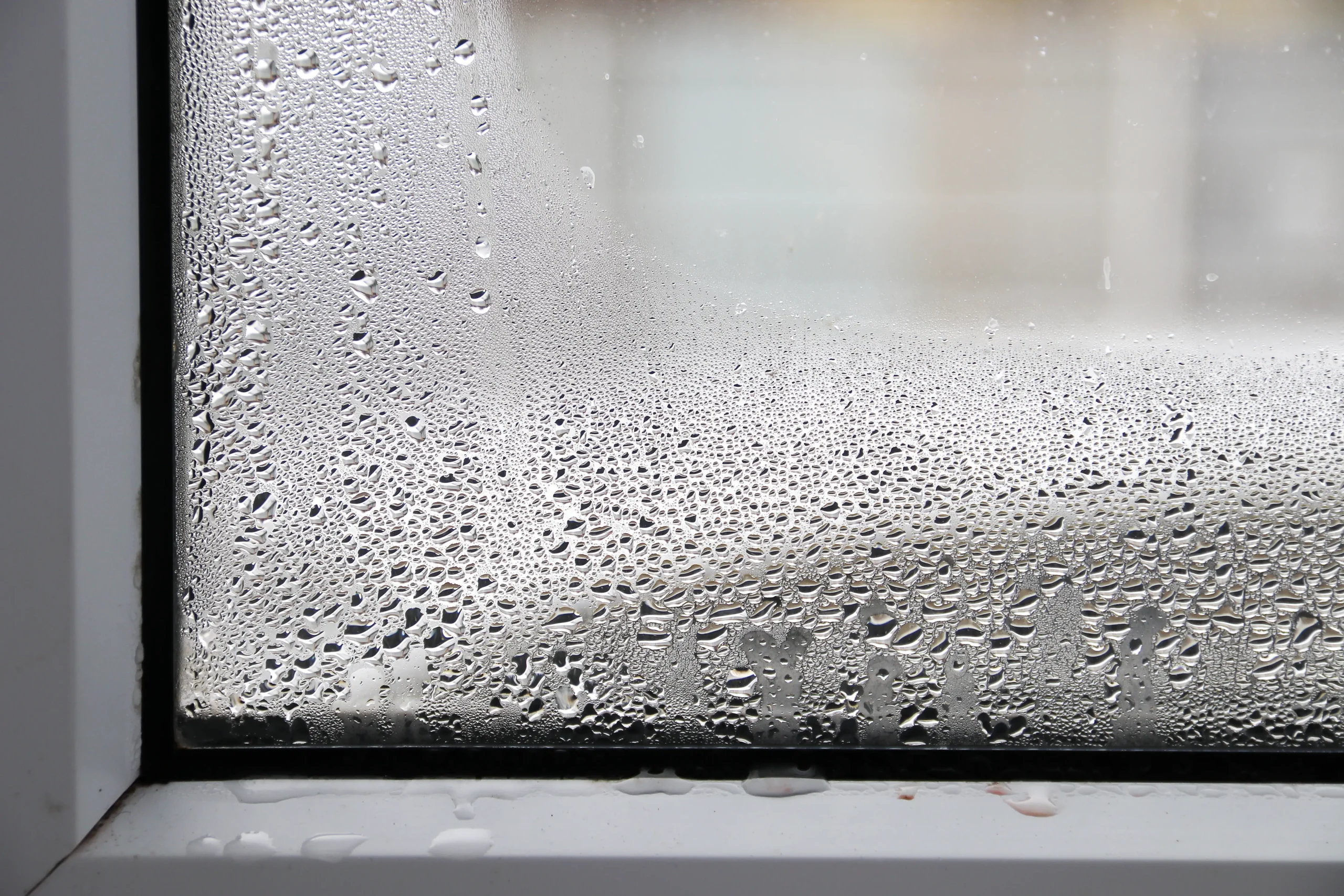 Solutions sur mesure traitement humidité