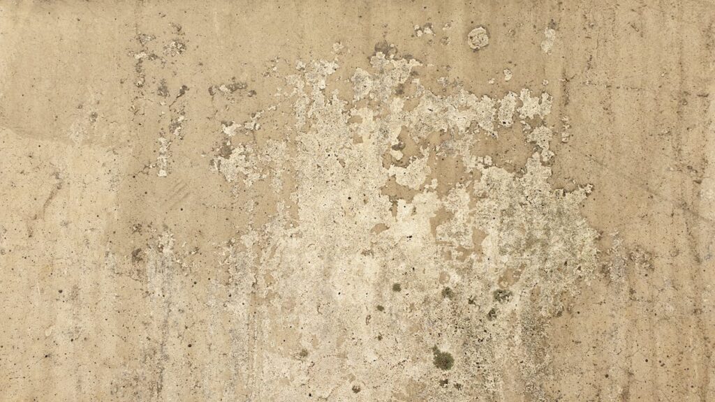 Peinture abîmée par les remontées capillaires